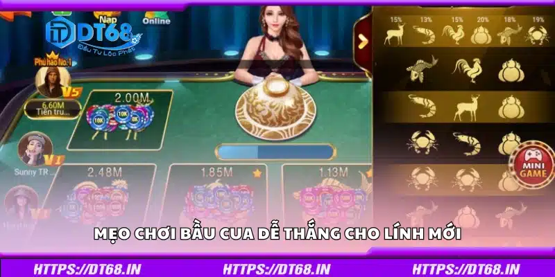Một số mẹo chơi bầu cua dễ thắng cho lính mới