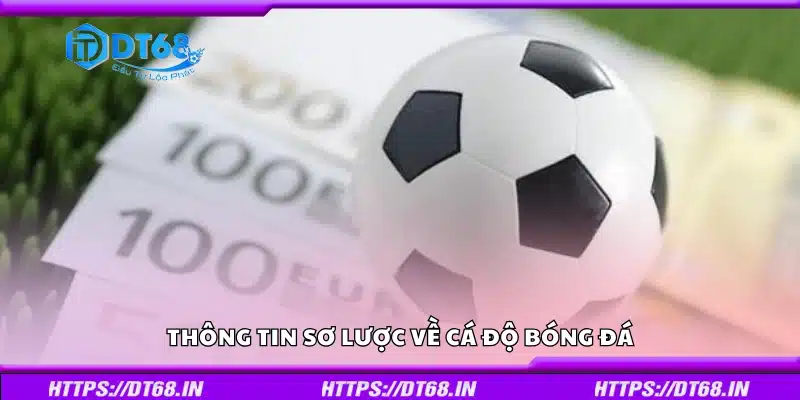 Kiến thức nền tảng về cá cược trong bóng đá
