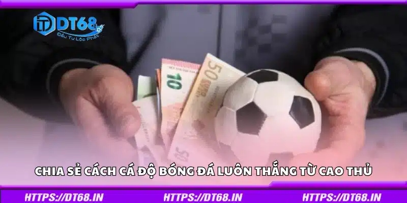 Bật mí cá độ bóng đá luôn thắng từ dân chuyên