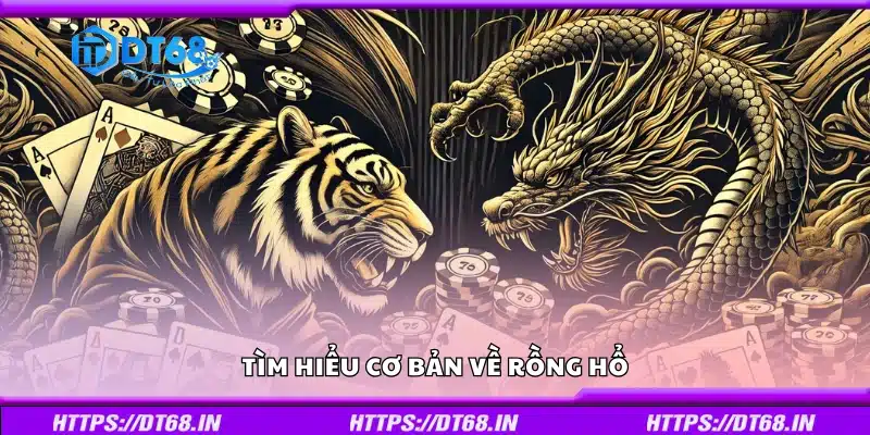 Giới thiệu tổng quan về trò chơi Rồng Hổ dành cho người mới